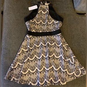 Black & White Lace A-Line Dress